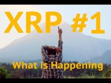 Bakkt CEO Crypto Revolution is Beginning XRP Bitcoin Crypto Kungfu