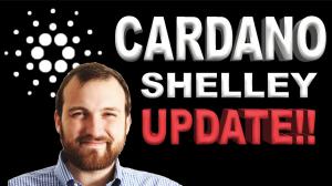 Cardano Staking Update Shelley