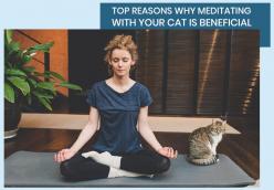 Top Reasons Why Meditating With Your Cat is Beneficial
