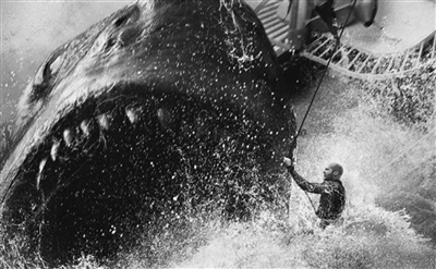 地球史上“最强生物” 巨齿鲨：一颗好牙卖五万