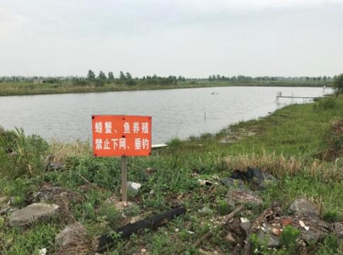 长江豚类省级自然保护区违法开发 江滩湿地破坏严重