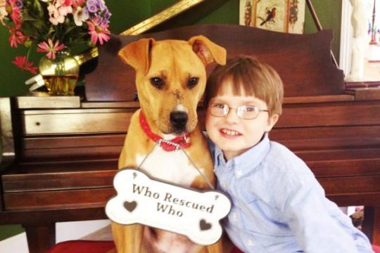 收救流浪骷髅狗狗 自闭症儿子却康复了 妈妈感叹「 到底是谁救了谁？」