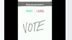 What the yanny/laurel meme might teach us about our political and cultural divides