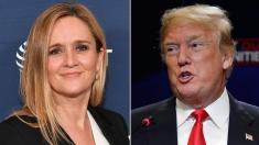 Trump says comedian Samantha Bee should be fired for 'horrible language' about Ivanka