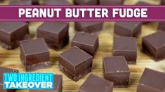 Two Ingredient Chocolate Peanut Butter Fudge (Vegan Friendly!) | Mind Over Munch