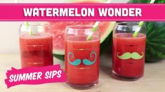 Watermelon Wonder! Summer Sips in Sixty Seconds Mind Over Munch
