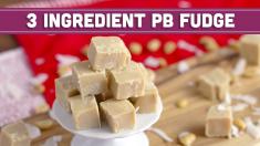 How to Make 3 Ingredient Peanut Butter Fudge, Vegan HOLIDAY FOODIE COLLAB Mind over Munch