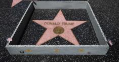West Hollywood Urges Removal of Trump’s Walk of Fame Star (It’s a Long Shot)
