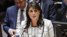 Nikki Haley expected to announce resignation: Sources