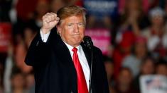 Democrats 'should be worried' about losing black voters ahead of midterms: Trump