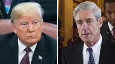 Trump submits written responses to special counsel