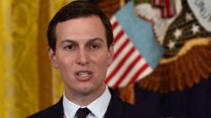 Trump campaign paid legal fees to firm representing Jared Kushner
