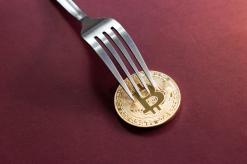 44 Bitcoin Forks Have Emerged Within 10 Months, Crypto Investors Not Convinced