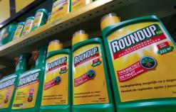 U.S. judge allows lawsuits over Monsanto's Roundup to proceed to trial