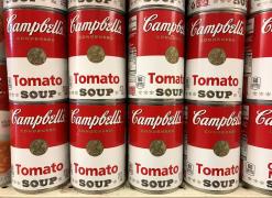 Campbell to sell fresh, international units, complete sale an option