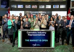 Cannabis Watch: Cannabis earnings: Pot stocks’ downturn may drown Aurora and others in red ink