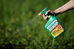 U.S. trial tests claims Roundup weed killer caused cancer