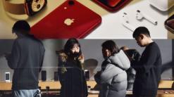 Search trends in China show interest in iPhone down nearly 50%