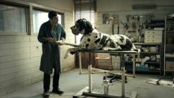 Crítica de "Dogman": Peor que una vida de perros