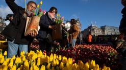 Away winter blues! Netherlands marks National Tulip Day