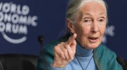 Jane Goodall's 'The Book of Hope' coming out in 2021