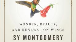 Review: A hummingbird book that's like them — zippy and fun