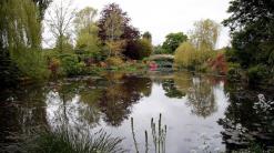 Monet's gardens reopening, a picture-perfect pandemic tonic