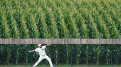 Yanks, Chisox go deep into corn; Field of Dreams hosts more