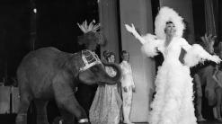 Josephine Baker is 1st Black woman given Paris burial honor