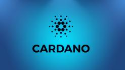 Why 2022 Could Be The Best Year For Cardano, Top Bullish Predictions
