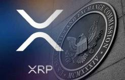 Ripple Vs. SEC: Lawyer Explains Why Nov 30 Is Crucial And Why A Settlement Is Possible