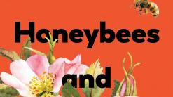 Review: Japan bestseller ‘Honeybees’ is an ode to creatives