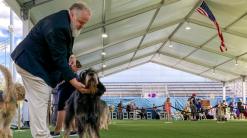 For these hounds and humans, dog show a couples' competition