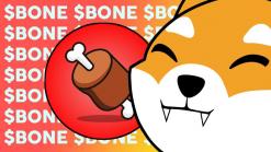 Shiba Inu Ecosystem Token BONE Surges 88%, Too Late To Buy?