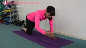 Beginners Body Weight Exercises for Women Whole Body Strengthening Routine
