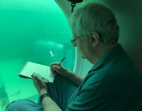 How I unwittingly steered OceanGate’s sub to discovery in Puget Sound’s depths