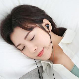 Xiaomi BRE01JY Dual Drivers In-ear Earphone