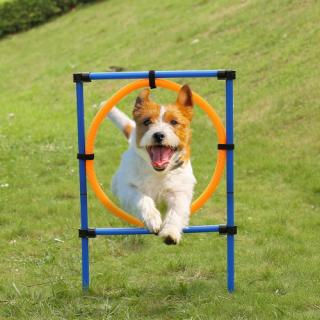 Outdoor Dog Pet agilidade Exercício Sports Obediência Mostrar Equipment Training Dogs Atividade Hoop Ir Jogo agilidade Exercise Set Pólo com Carrying Case