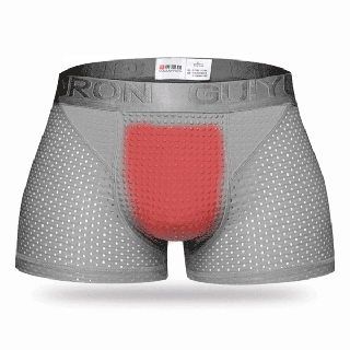 Mens Sexy Ice Silk Mesh Magnetic Therapy Health Care Underwear Breathable Casual Boxer