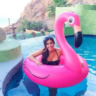 Inflatable Flamingo Style Floating Row