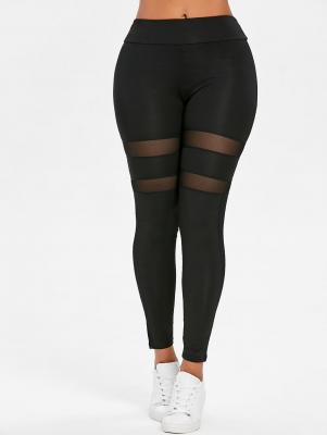 Mesh Panel Sport Leggings