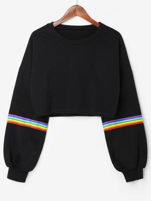 Rainbow Stripes Crop Sweatshirt