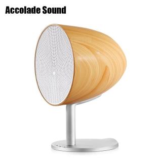 Accolade Sound AS360 Bluetooth Speaker Music Player