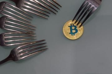 Hard Fork vs Soft Fork