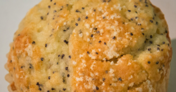 This Viral Photo Of Ticks On A Poppy Seed Muffin Is Freaking Everyone Out