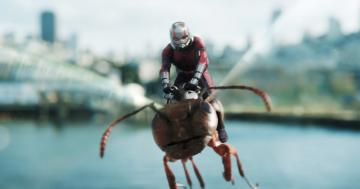 Don't Hold Your Breath For Ant-Man 3 - He Won't Be Back Until Next Year!