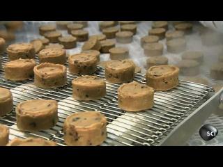 Chocolate Chip Cookies | How Its Made