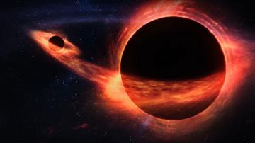 When One Black Hole Eats Another... Look Out