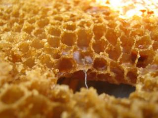 Honey as Medicine