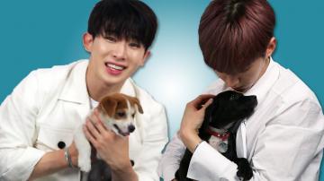 Monsta X Plays With Puppies While Answering Fan Questions